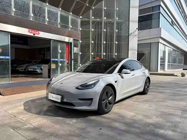 Tesla Model 3 2019