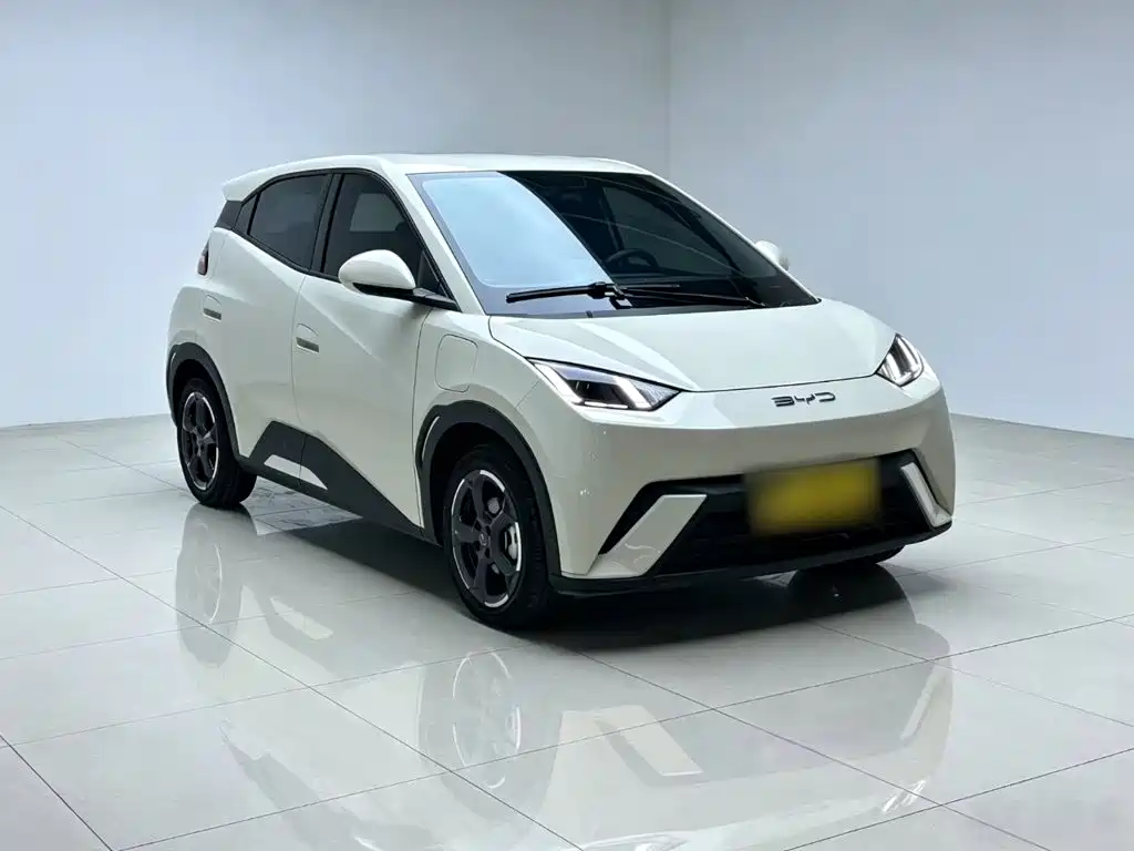BYD Seagull 2024