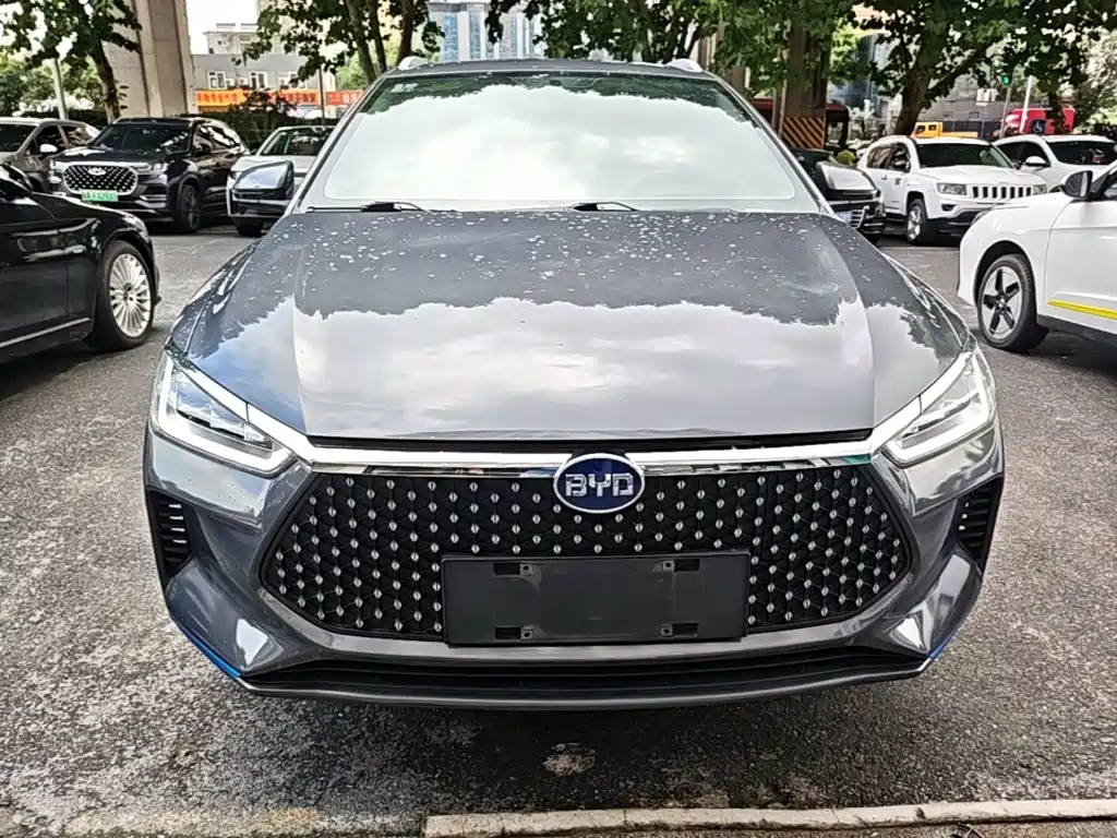BYD e2 2021