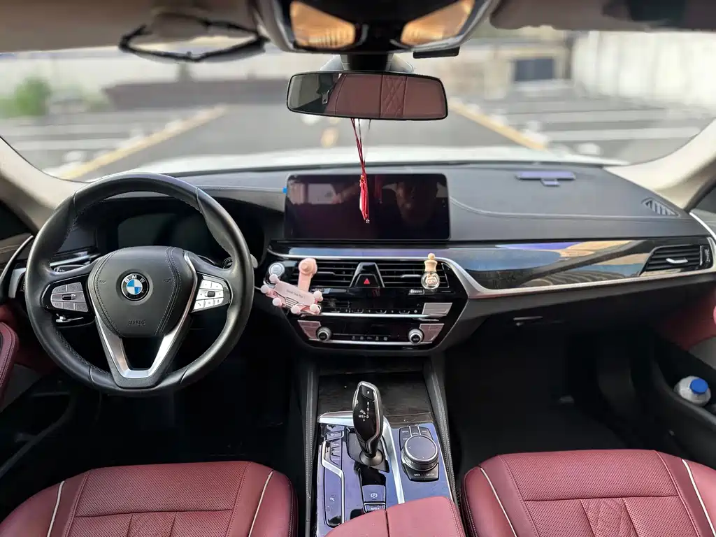 BMW 5 Series 2020 — фото 9