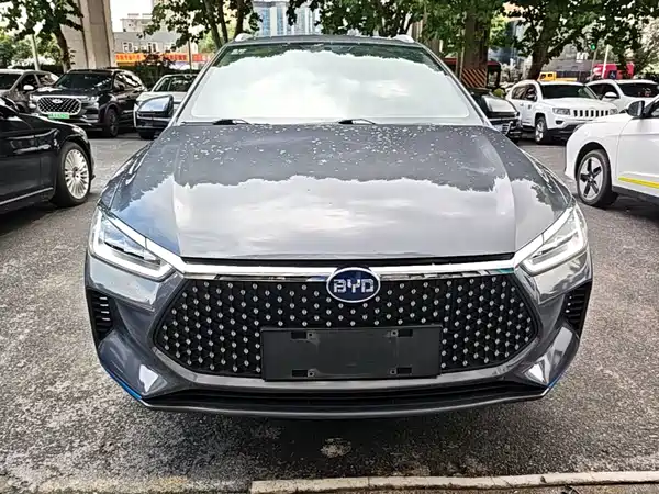 BYD e2 2021