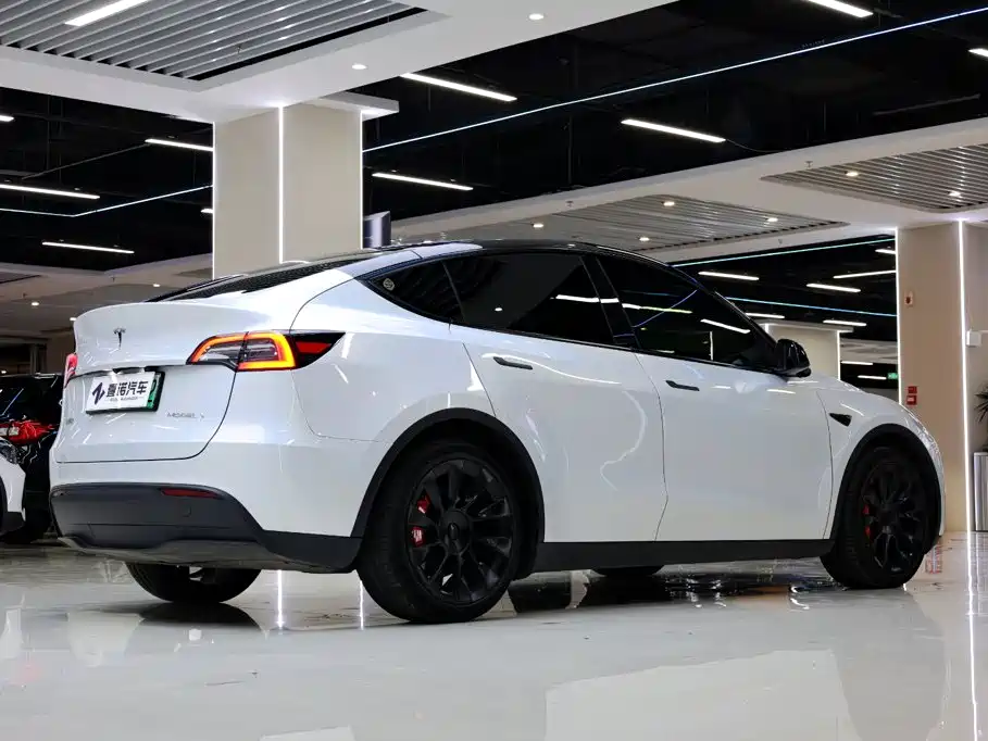 Tesla Model Y 2023 — фото 15