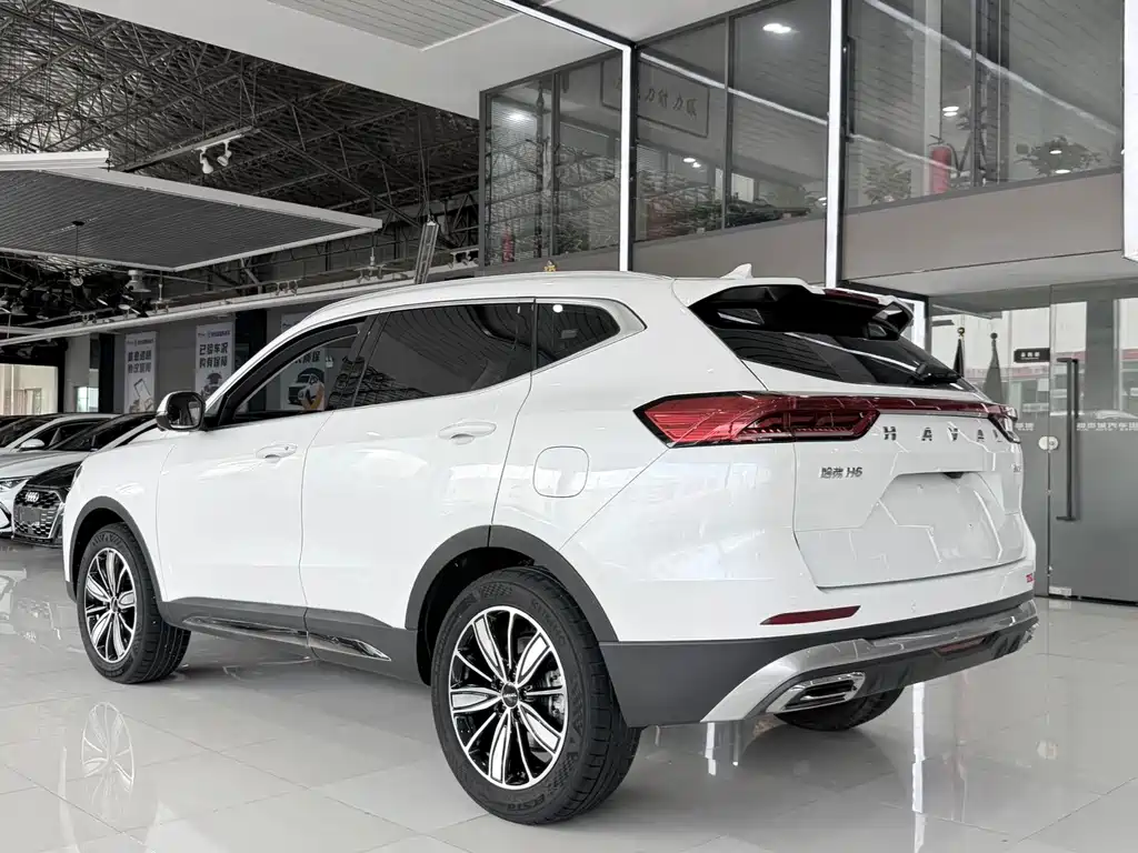 Haval H6 2023 — фото 10