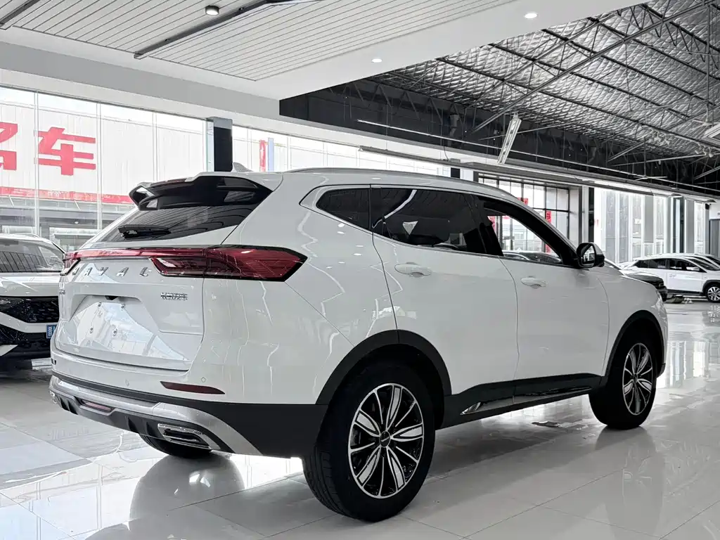 Haval H6 2023 — фото 12