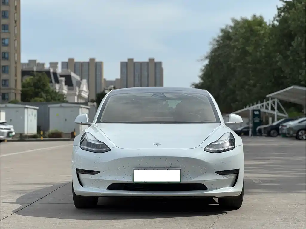 Tesla Model 3 2020 — фото 2