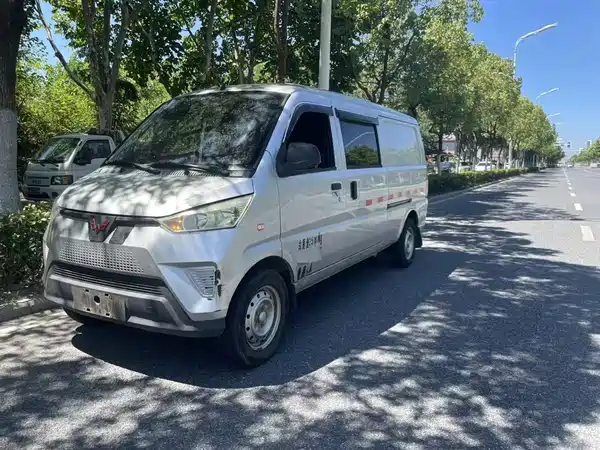 Wuling EV50 2022