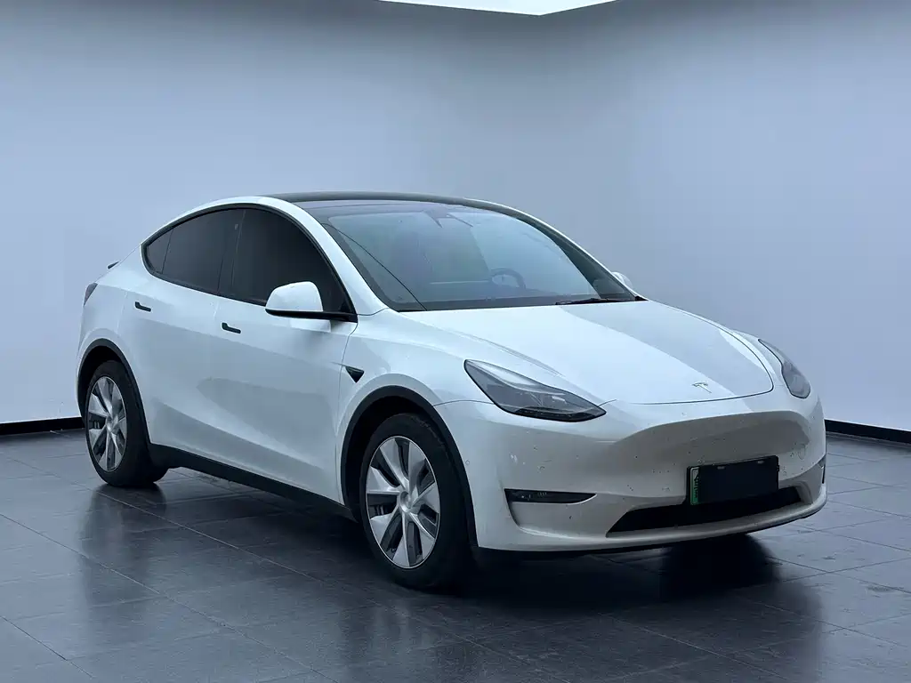 Tesla Model Y 2021 — фото 3