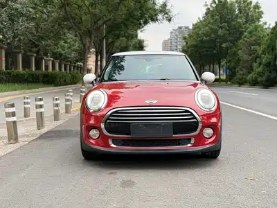 MINI MINI 2015