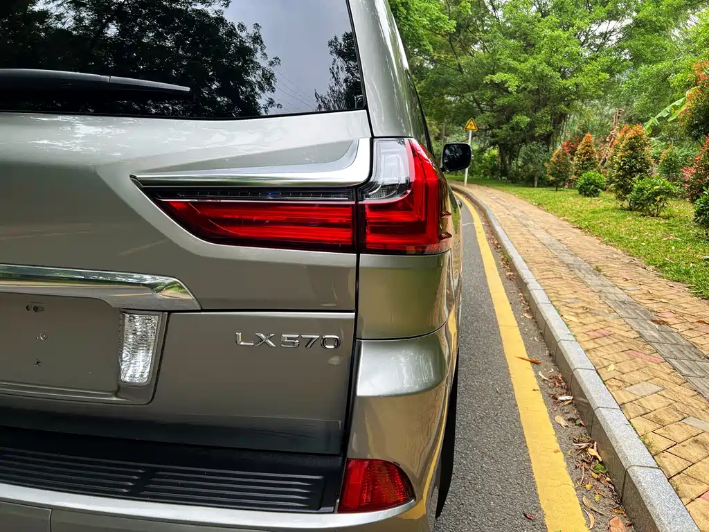 Lexus LX 2017 — фото 18