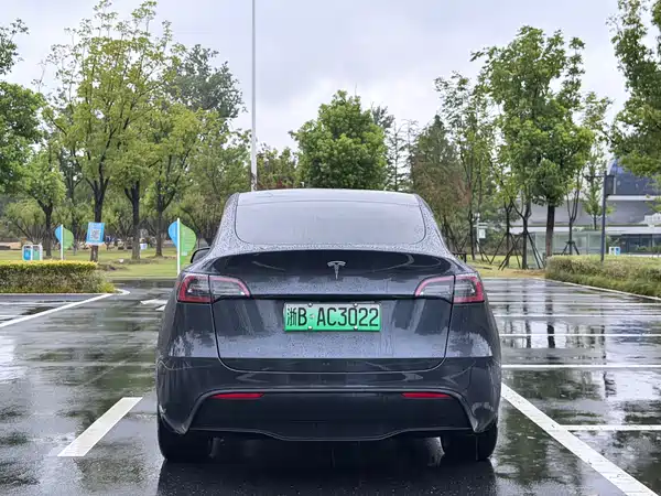 Tesla Model Y 2025
