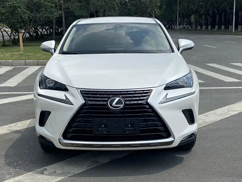 Lexus NX 2020 — фото 3