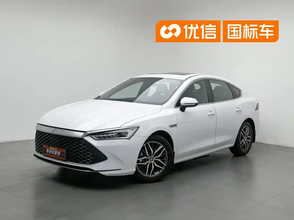 BYD Qin PLUS 2021 — фото 1