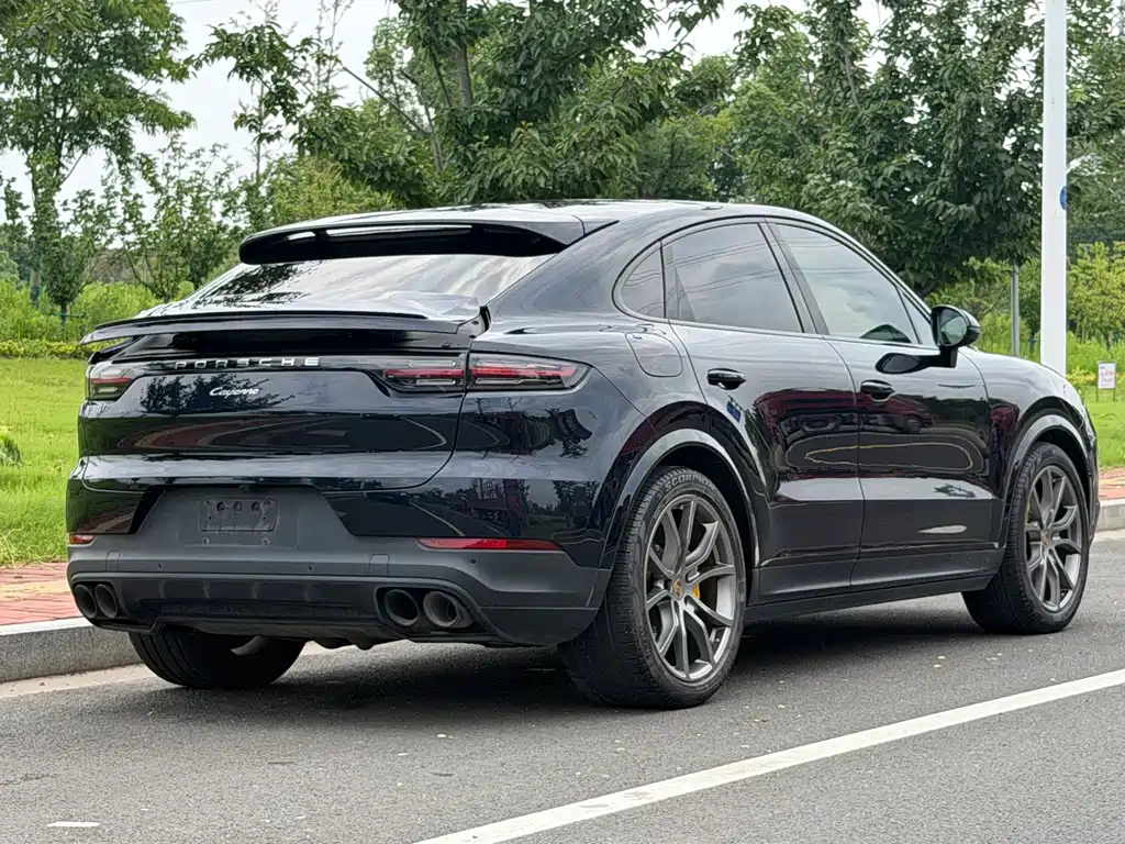 Porsche Cayenne 2021 — фото 14