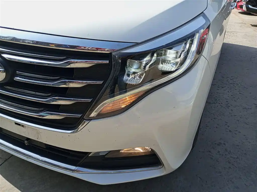 GAC Motor Trumpchi M8 2018 — фото 3