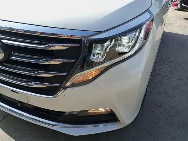 GAC Trumpchi M8 2018