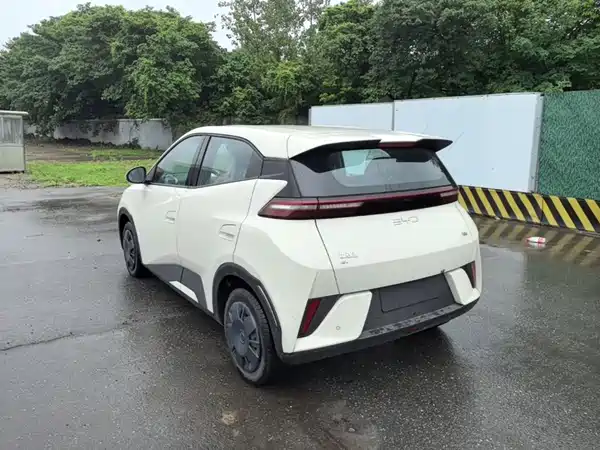 BYD Seagull 2026