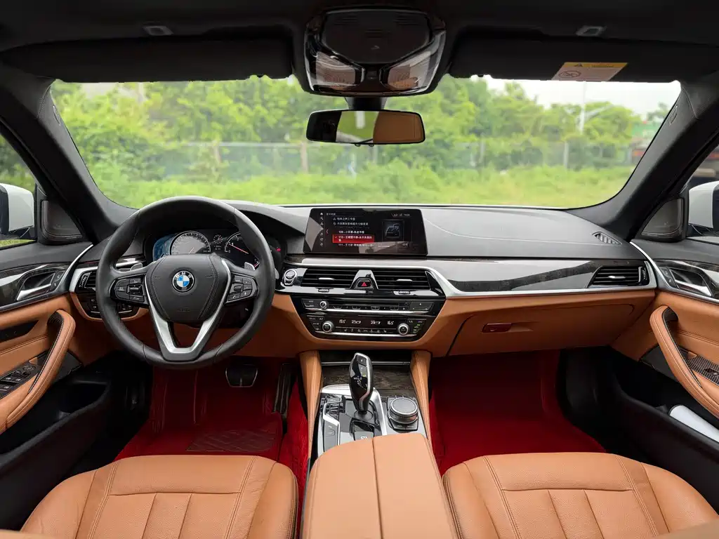 BMW 5 Series 2018 — фото 14