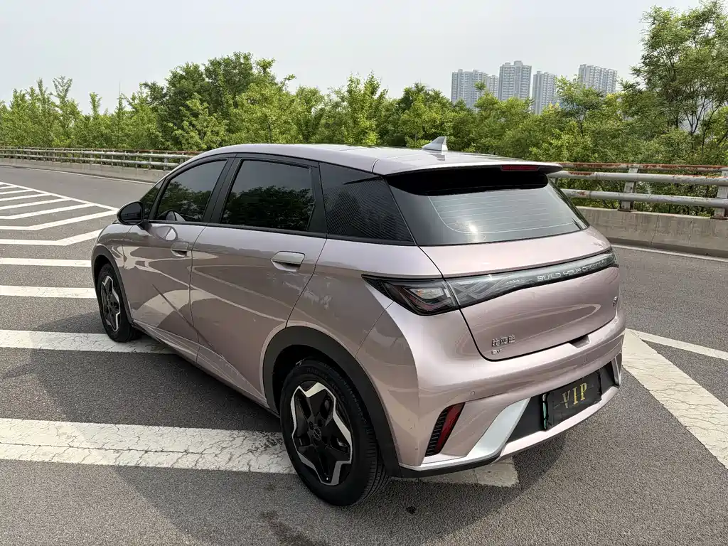 BYD Dolphin 2021 — фото 10