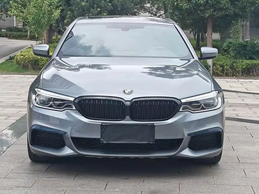 BMW 5 Series 2020
