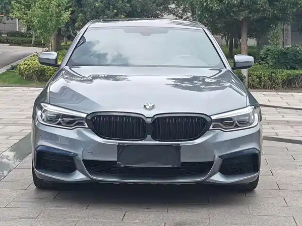 BMW 5 Series 2020