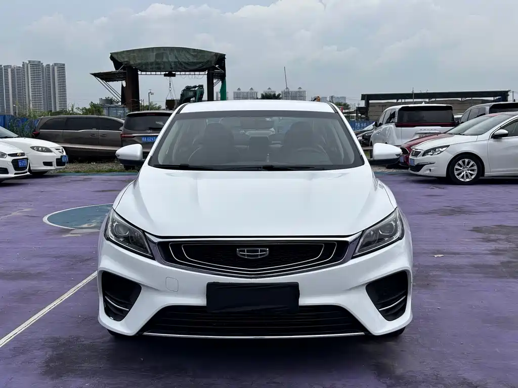 Geely Binrui 2019