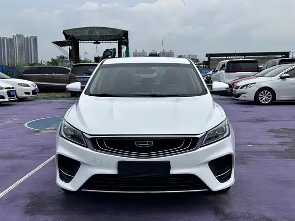 Geely Binrui 2019