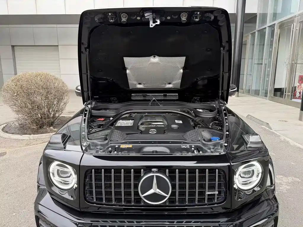Mercedes-Benz G-Class AMG 2020 — фото 15