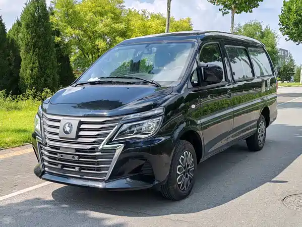 Dongfeng Lingzhi New Energy 2026