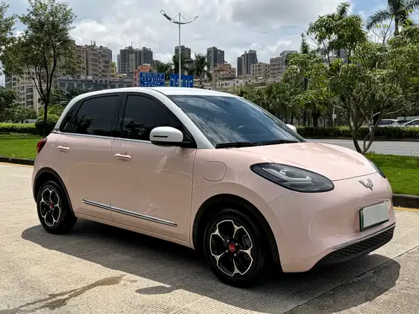 Wuling Bingo 2024