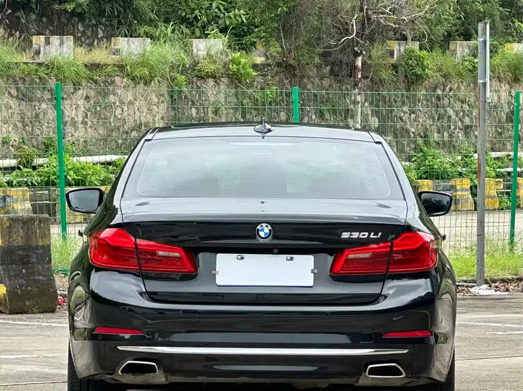 BMW 5 Series 2020 — фото 16