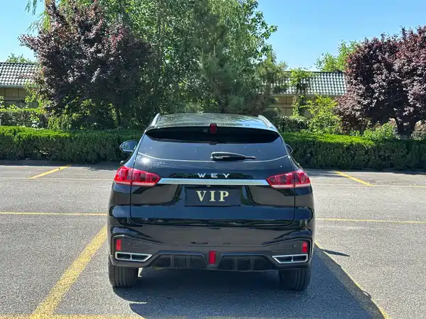 Wey VV5 2021