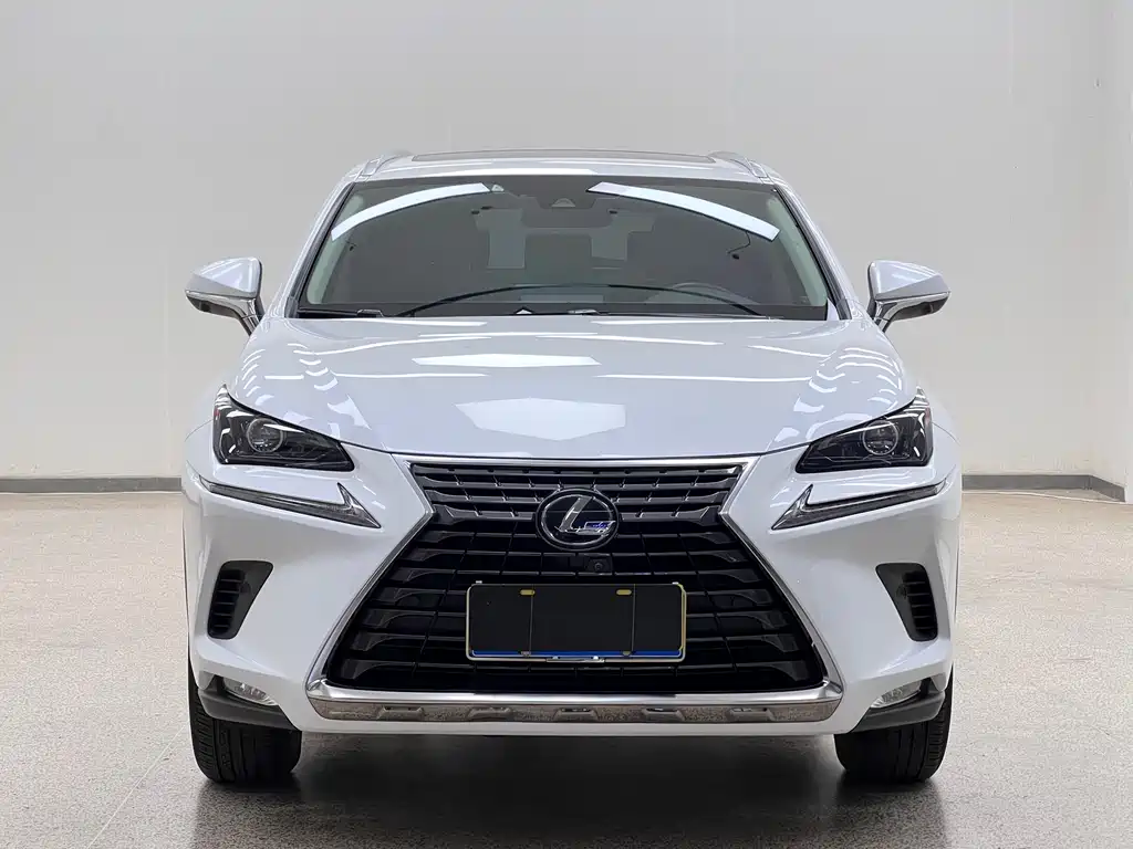 Lexus NX 2020 — фото 2