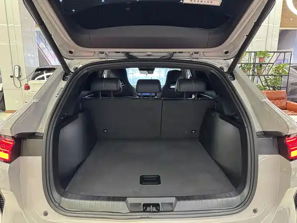 BYD Song PLUS New Energy 2024