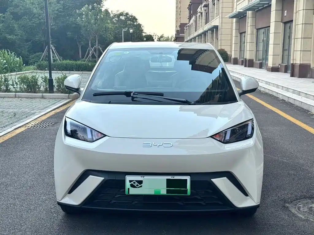 BYD Seagull 2024