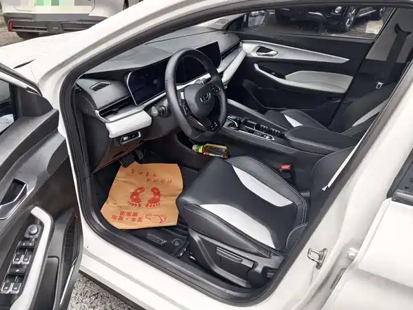 Geely Binrui 2023