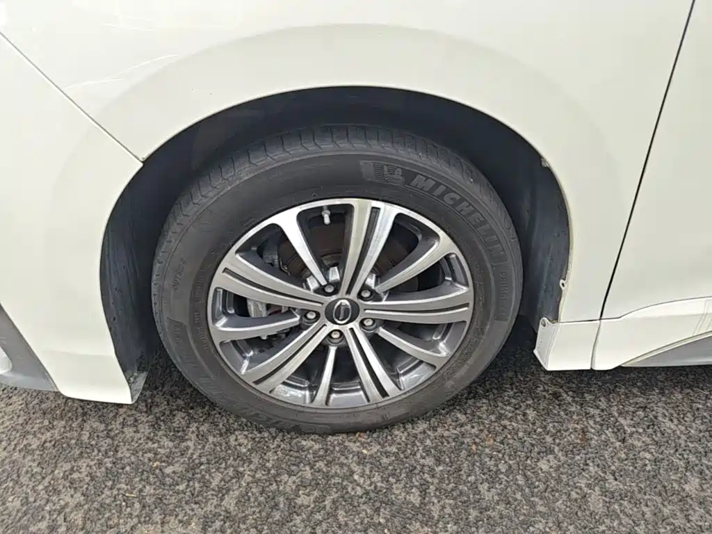 GAC Trumpchi M8 2020 — фото 23