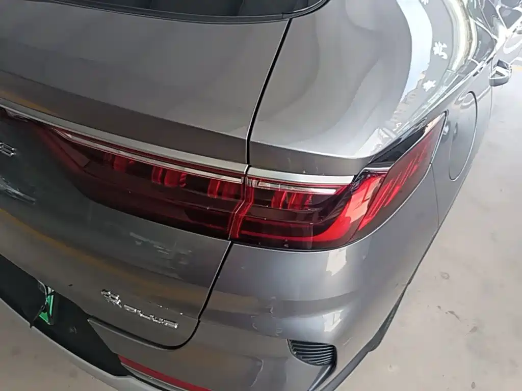 BYD Song PLUS New Energy 2023 — фото 8