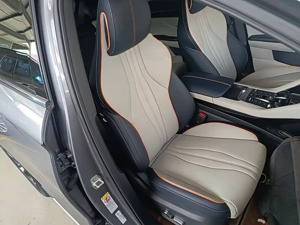 BYD Song PLUS New Energy 2023 — фото 25
