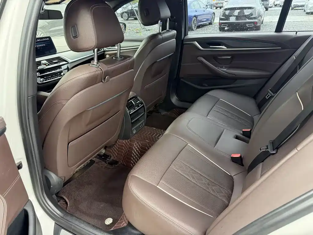 BMW 5 Series New Energy 2020