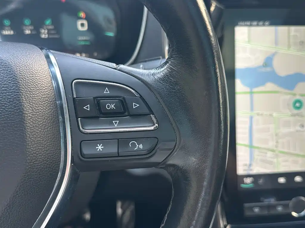 Roewe RX5 New Energy 2018 — фото 12