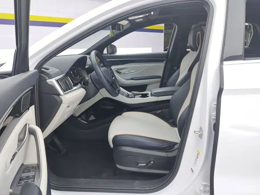 BYD Song PLUS New Energy 2024 — фото 9