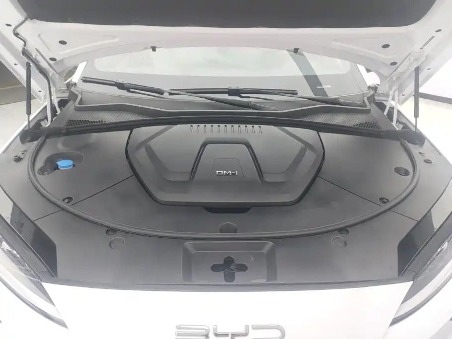 BYD Song PLUS New Energy 2024 — фото 10