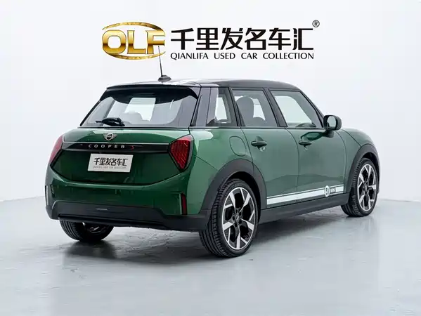 MINI MINI 2024