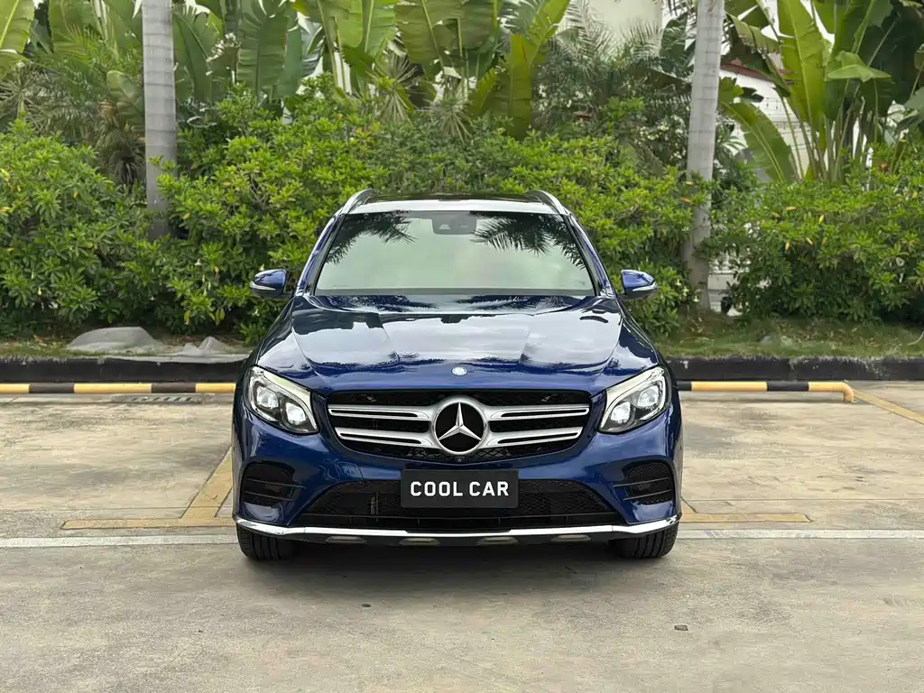 Mercedes-Benz GLC 2016 — фото 2