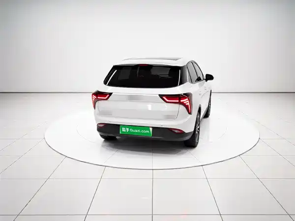 Neta V 2022