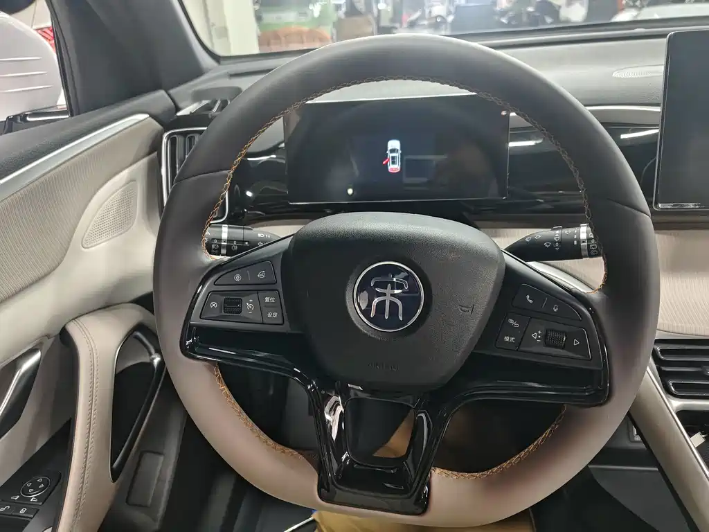 BYD Song Pro New Energy 2025 — фото 10