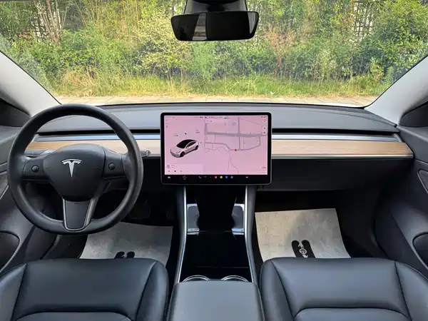 Tesla Model 3 2020