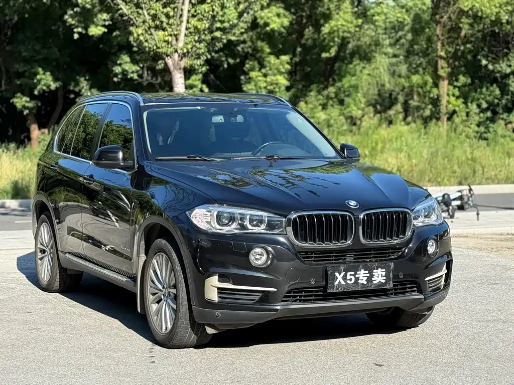 BMW X5 2016 — фото 3
