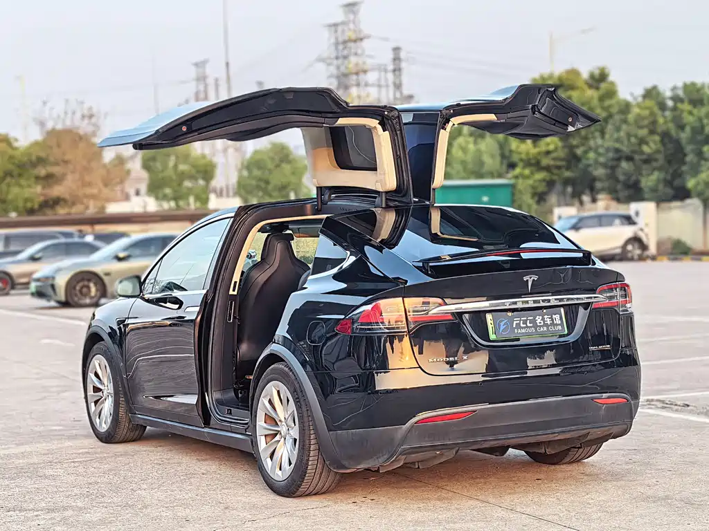 Tesla Model X 2018 — фото 9