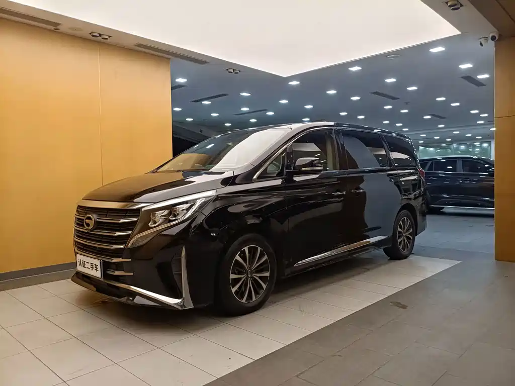 GAC Trumpchi M8 2021 — фото 1